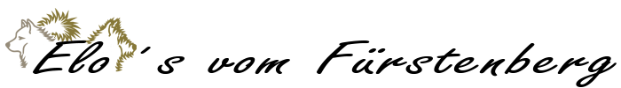 Elozucht Fürstenberg