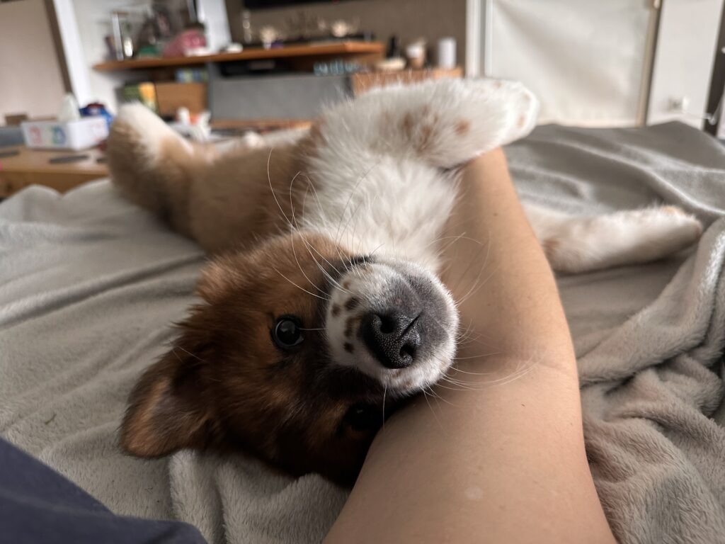 kuscheln auf der Couch ist schon was feines